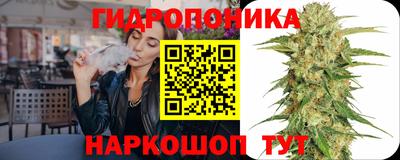 шишки Кулебаки