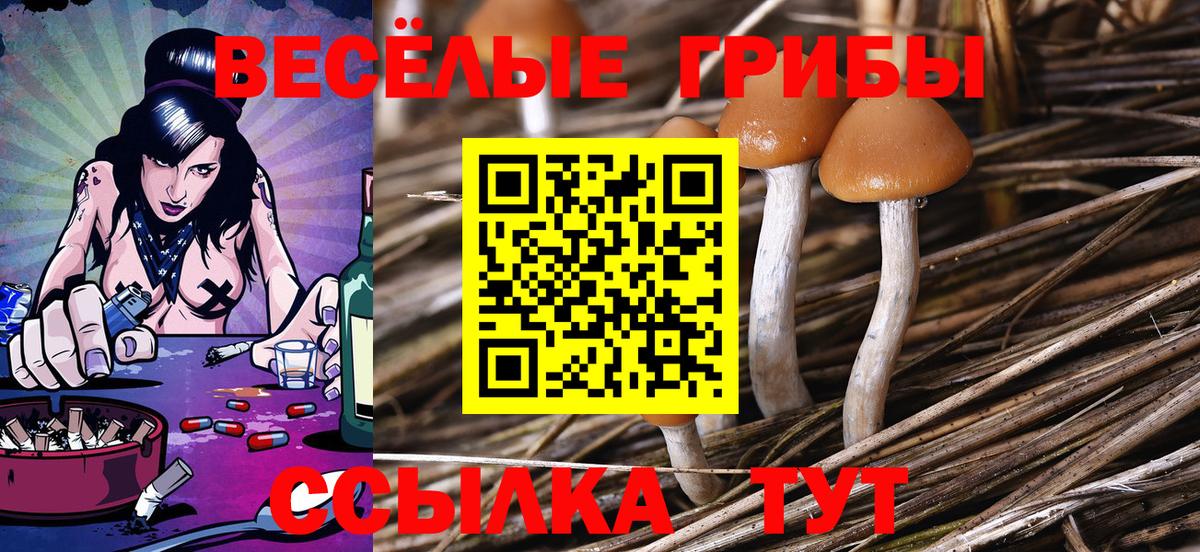 Псилоцибиновые грибы MAGIC MUSHROOMS  Галлюциногенные грибы мицелий  Зеленокумск  Вход с VPN 